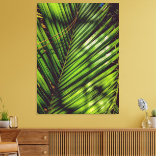 Palm Frond, Pine Needles and Shadows Canvas Print