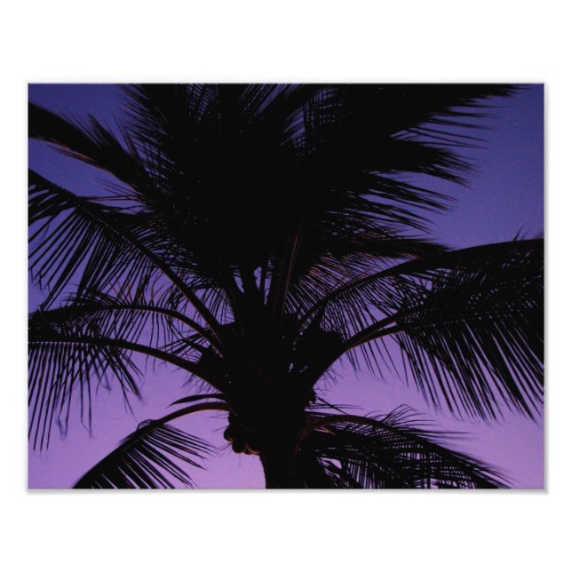 Palm Frond Silhouette Photo Print (Front)