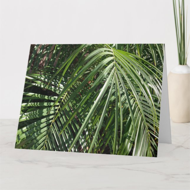 Palm Fronds Fine Art Nature Photography Card (Front)