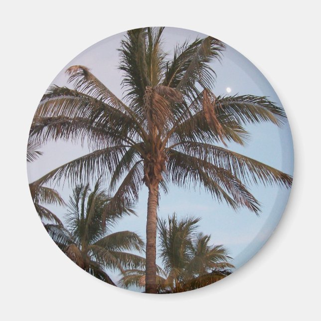 Palm Gets Mooned Magnet (Front)