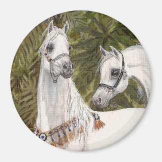 Palm Grove Arabian horse round magnet