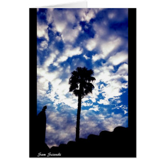 Palm in the Clouds