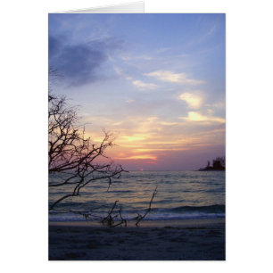 Palm Island Sunset 1