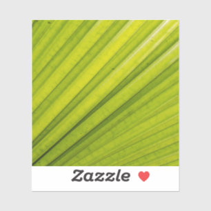 Palm Leaf