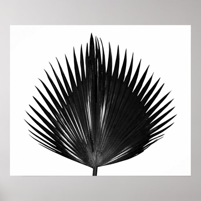 Palm Leaf Botanical Plant Black Painting Poster (Front)