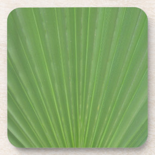 Palm leaf coaster