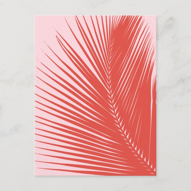 Palm leaf - Coral and shell pink Postcard (Front)