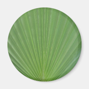Palm leaf magnet