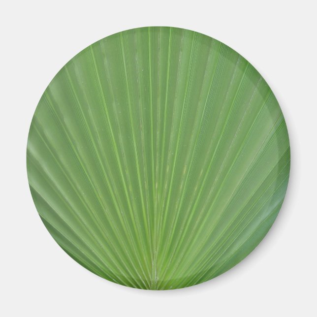 Palm leaf magnet (Front)