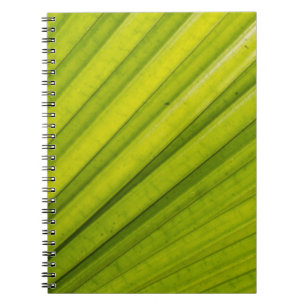 Palm Leaf Notebook