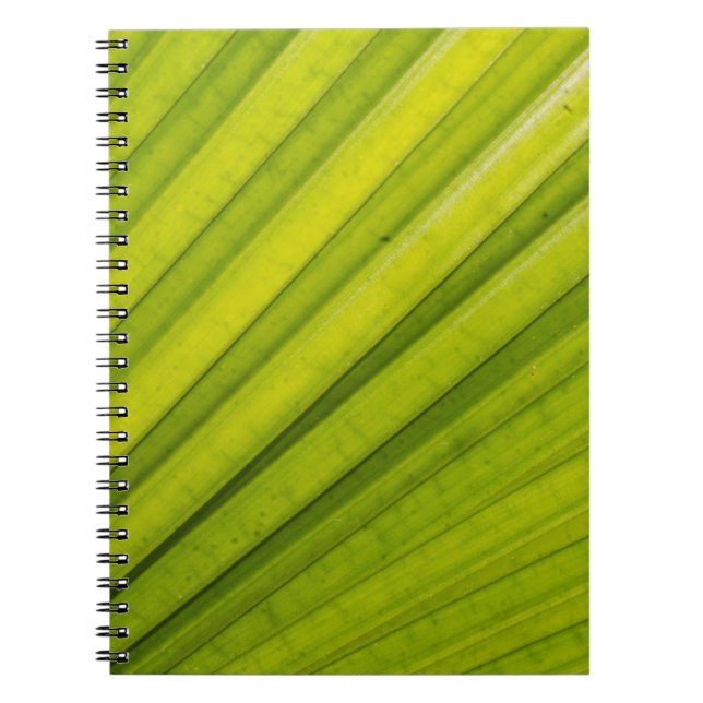Palm Leaf Notebook (Front)