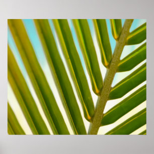 Palm Leaf Photo Poster