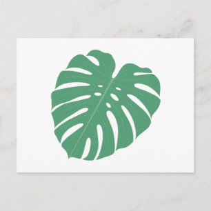 Palm Leaf Postcard