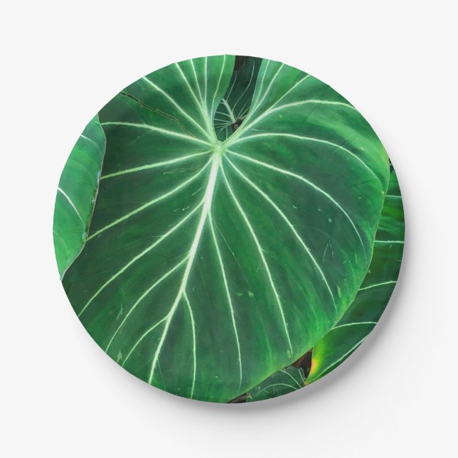 Palm Leaf, tropical foliage, jungle rainforest  Paper Plate (Front)