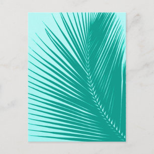 Palm leaf - Turquoise and aqua Postcard