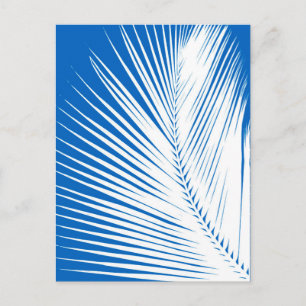 Palm leaf - white on cobalt blue postcard