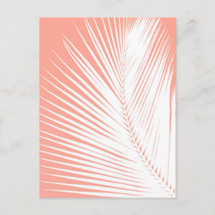 Palm leaf - white on coral pink postcard