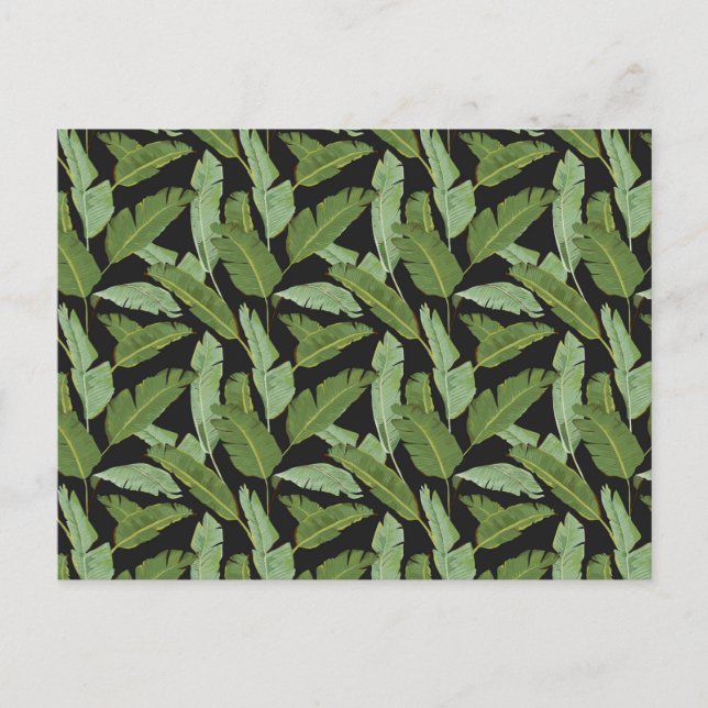 Palm Leaves 2 Postcard (Front)