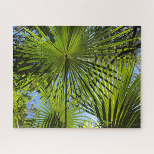 palm leaves jigsaw puzzle