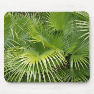 Palm Leaves Mouse Mat