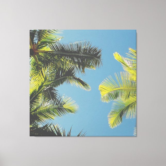 Palm Leaves Photo Tropical Summer Sky Retro Vibe Canvas Print (Front)