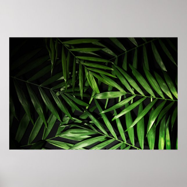 Palm leaves poster (Front)