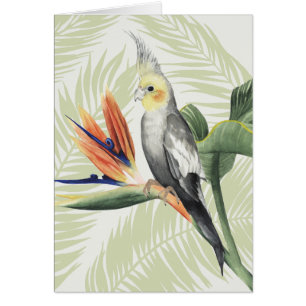 Palm Leaves With Black Bird