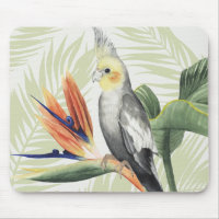 Palm Leaves With Black Bird