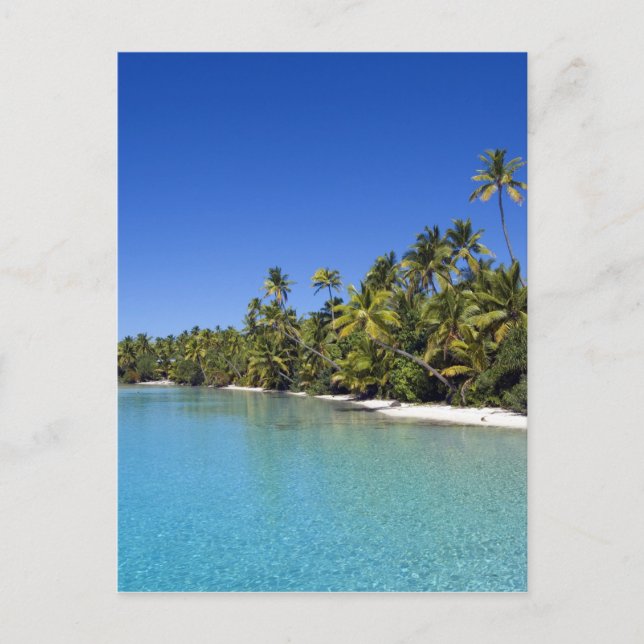 Palm lined beach Cook Islands 2 Postcard (Front)