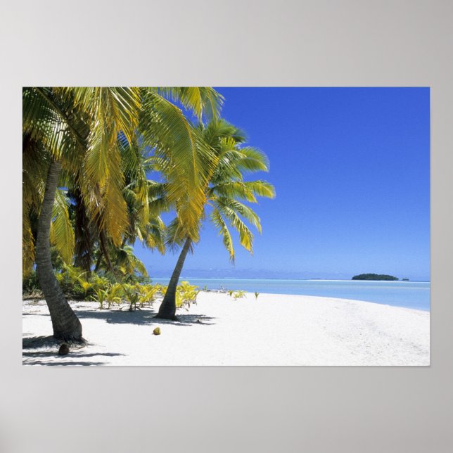 Palm lined beach Cook Islands 2 Poster (Front)