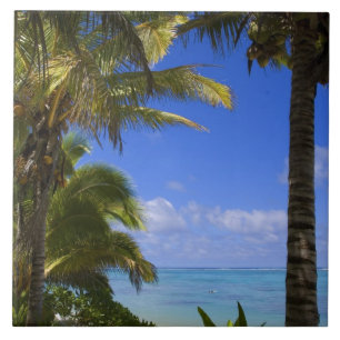 Palm lined beach Cook Islands 2 Tile