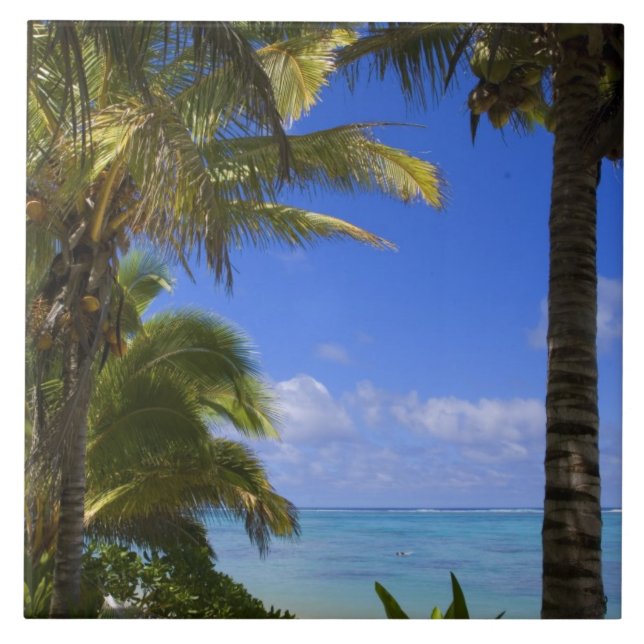 Palm lined beach Cook Islands 2 Tile (Front)