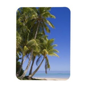 Palm lined beach Cook Islands 3 Magnet
