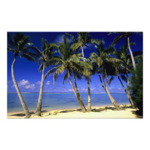 Palm lined beach Cook Islands 3 Photo Print