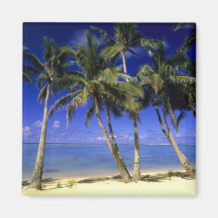 Palm lined beach Cook Islands 4 Magnet