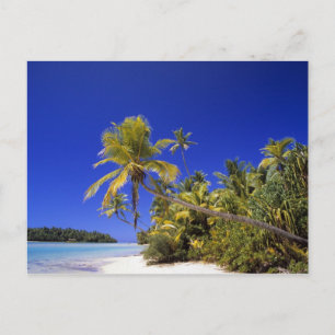 Palm lined beach Cook Islands 7 Postcard