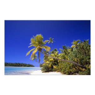 Palm lined beach Cook Islands 8 Photo Print