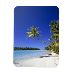 Palm lined beach Cook Islands Magnet