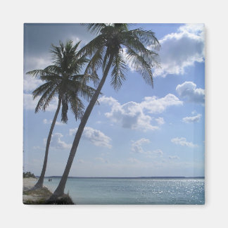 Palm Magnet 2