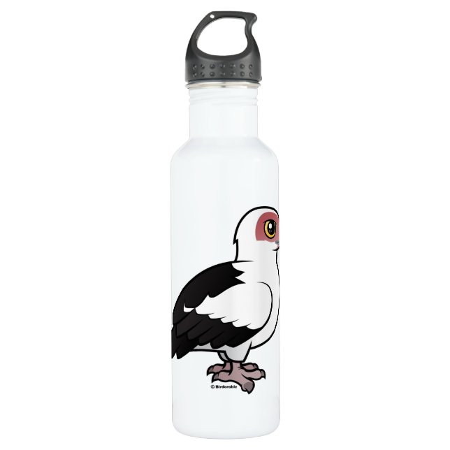 Palm-nut Vulture 710 Ml Water Bottle (Front)