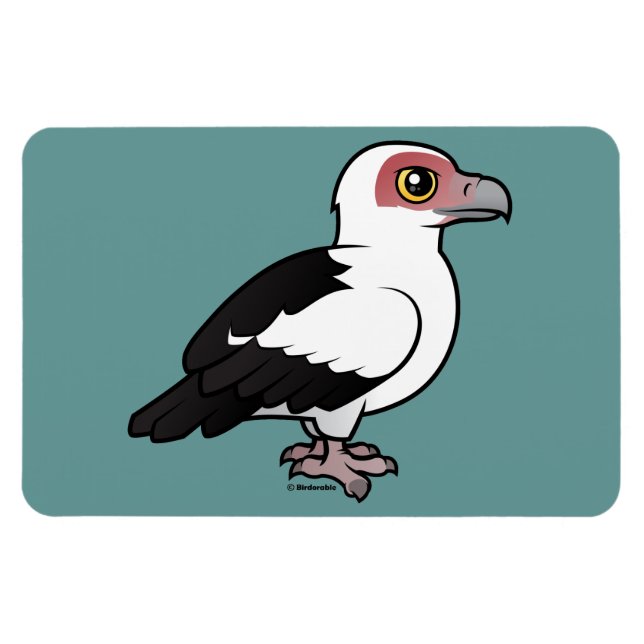 Palm-nut Vulture Magnet (Horizontal)