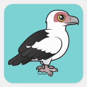 Palm-nut Vulture Square Sticker