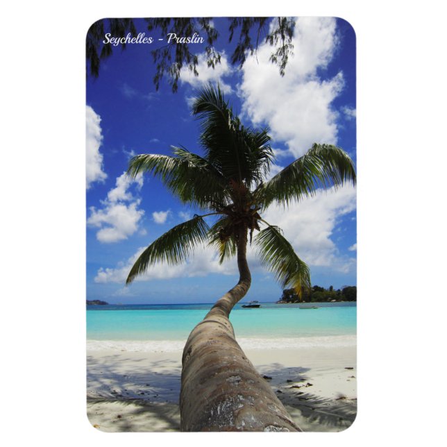 Palm on Seychelles island, Praslin Magnet (Vertical)