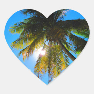 Palm Paradise Blue Sky Sunshine Heart Sticker