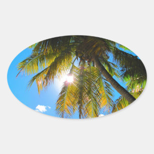 Palm Paradise Blue Sky Sunshine Oval Sticker