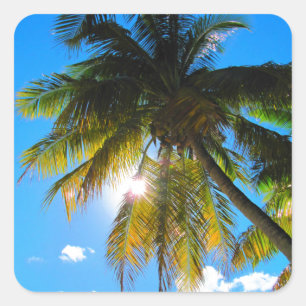 Palm Paradise Blue Sky Sunshine Square Sticker
