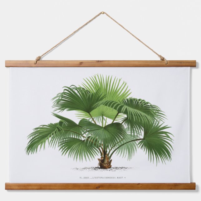 Palm Print -Pieter Joseph de Pannemaeker 1832-1904 Hanging Tapestry (Front)