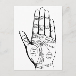 Palm Reading Chart Palmistry fortune teller future Postcard