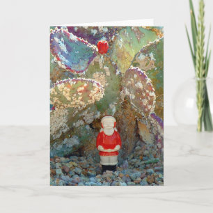 Palm Springs Cactus Garden Santa Holiday Card