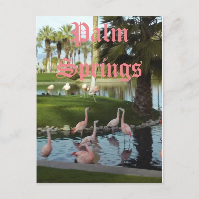 Palm Springs California Postcard (Front)